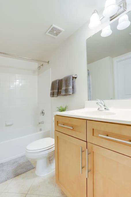 Condo With Gym And Pool In Pentagon City 8Min To Dca Arlington Buitenkant foto